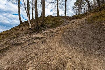 Long path in forest to top of the small hill next to Baltic sea
