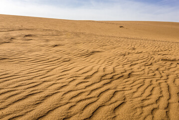 Ripple marks on sand dune, Maranjab Desert in Iran