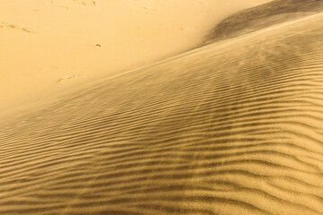 Ripple marks on a dune of Maranjab Desert in Iran