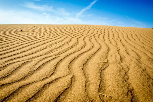 afbeeldingen-over-ripple-marks-blader-in-stockfoto-s-vectoren-en