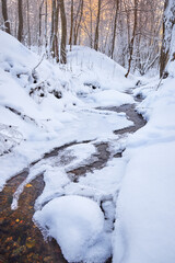small unfrozen stream in winter