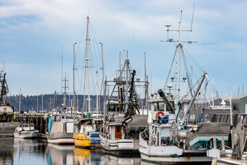 Port of Everett Fishing Boats