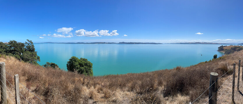 Picturesque landscape with bush, sea and mountains on background in a sunny day, Duder Regional Park, Auckland city, New Zealand.
