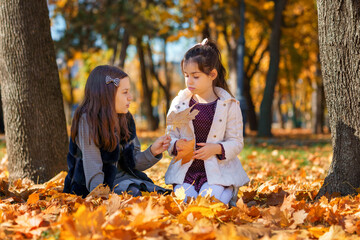 two girls are sitting in a glade of yellow maple leaves in an autumn city park, children are playing and enjoying, picking leaves near a tree, beautiful nature, bright sunny day