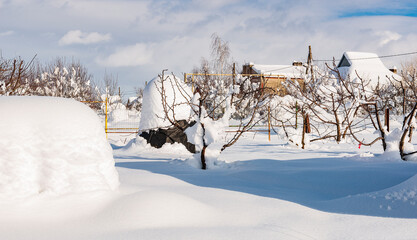 An orchard covered in deep snow