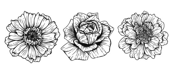 Collection of hand drawn line art flowers illustration isolated on white background
