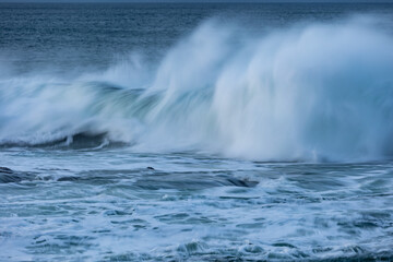 An afternoon on the Cantabrian coast with landscapes, fauna and waves!