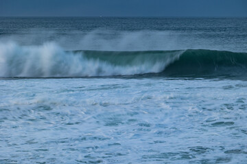 An afternoon on the Cantabrian coast with landscapes, fauna and waves!