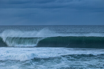 An afternoon on the Cantabrian coast with landscapes, fauna and waves!