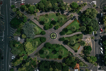 city park with palms aerial drone