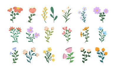 Set of Flowers, Blossom Icons. Spring and Summer Blooming Plants, Isolated Floristic Elements for Design and Decor
