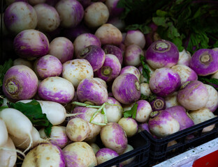 View of showcase with fresh white radishes and purple turnips in greengrocery