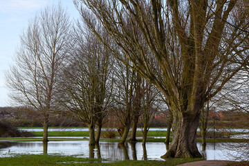 Flood water in a public park after the river banks burst from heavy rain