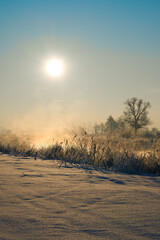 Winter wonderland. White winter landscape. Snow-covered countryside.