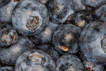 cranberries macro close up shot