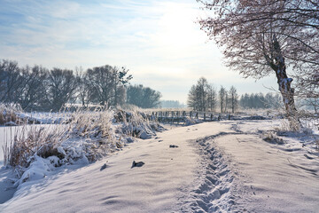 Winter wonderland. White winter landscape. Snow-covered countryside.