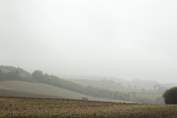 Fototapeta premium nebbia