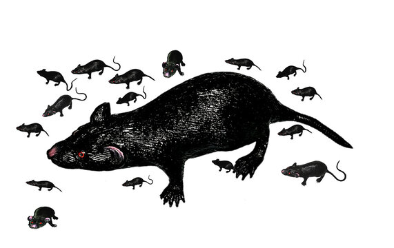 Mamma topo a passeggio con i suoi topolini in cerca di cibo