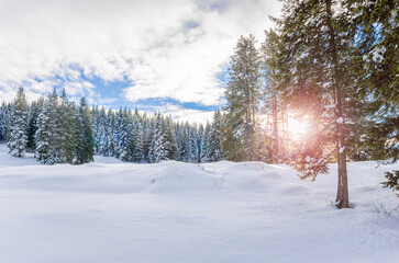 Snowy forested mountain landscape at sunset in winter. Lens flare.