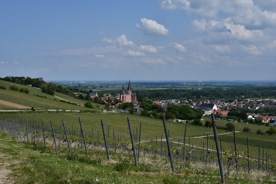 Blick auf die Katharinenkirche und H&auml;user mit Landschaften in Oppenheim am Rhein