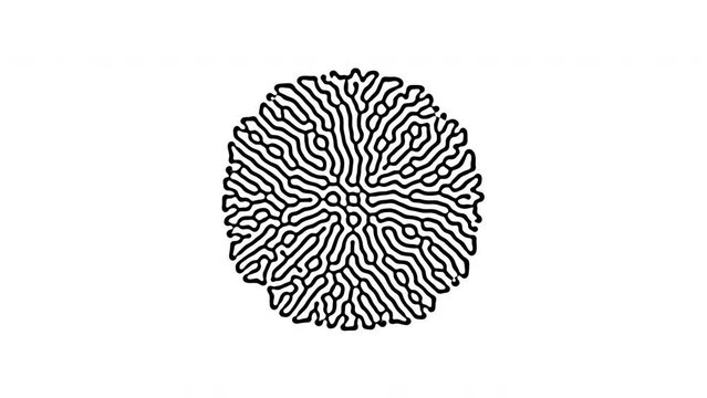Reaction diffusion organic growing pattern. Cell division science background.