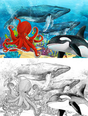 Obraz na płótnie Canvas cartoon scene with whale and killer whale and octopus near coral reef - illustration for children