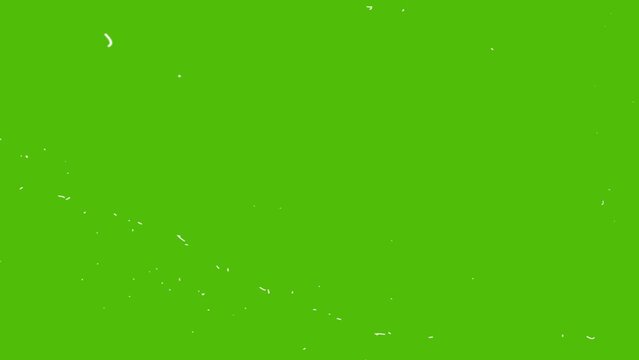Dust and scratches hairs green screen overlay effect. High quality 4k footage