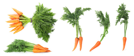Collage with fresh ripe carrots on white background