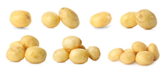 Collage with fresh raw potatoes on white background