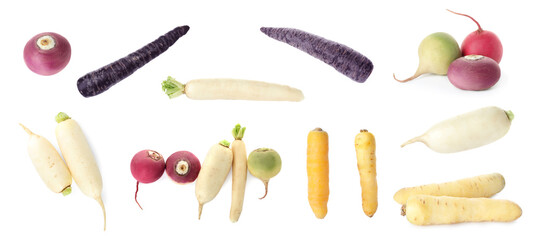 Collage with different carrots and turnips on white background. Root vegetable