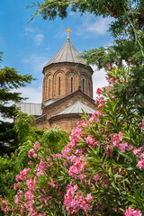 Domes of Metekhi church in flowers in old town of Tbilisi, Georgia. Virgin Mary Assumption Church of Metekhi is Georgian Orthodox Christian church, famous tourist attraction. Vertical orientation