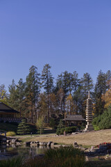 A Japanese Garden in the Autumn