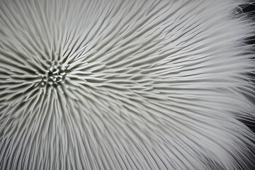 Obraz premium background fluffy white