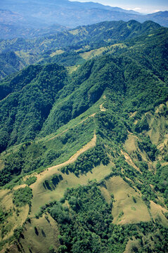 Aerial views of coffee plantations, near San Jose
