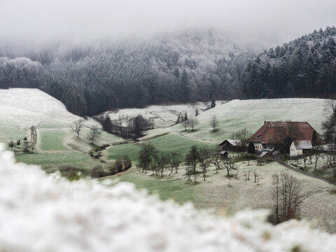 Farmhouse Hofbauernhof, Snowy Meadows And Forest In Little Village In The Middle Black Forest, Elzach-Yach, Baden-Württemberg, Germany.