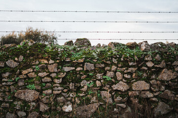 Shot of wall made by stones with vegetation. It has a fence above of it. It is in the country side.