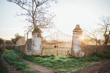 Shot of a old vintage gate of a country field while dawn in Spain.