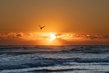 Naklejka na ściany i meble Ocean Sunrise Sunset