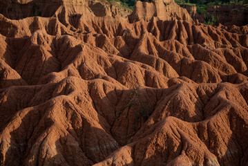 Duna del Desierto de la Tatacoa