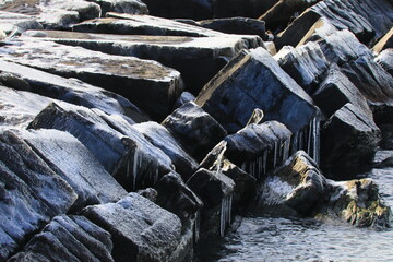 Frozen landscape from the ice storm