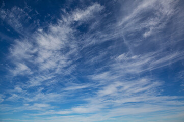 Obraz premium Blue sky