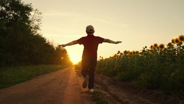 Child runs with his arms raised like wings of an airplane, childhood dream travel, nature. Silhouette of boy running at sunset, child pilot runs through field of sunflowers, kid dreams, airplane pilot