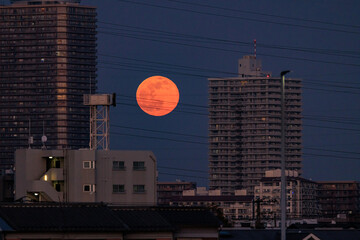 ビルの間から昇るオレンジ色の満月 © captainT