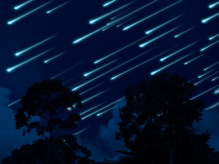meteor on the night sky dark cloud and tree in tropic forest