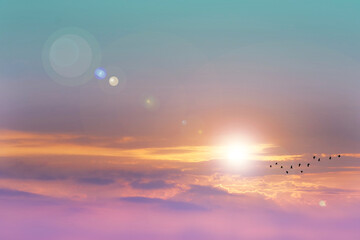 sunrise and flare back horizon sky with pastel cloud and fog over on the top mountain with birds flying