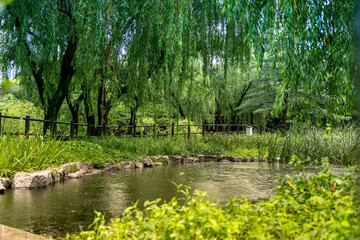 Obraz na płótnie Canvas 용산공원 연못