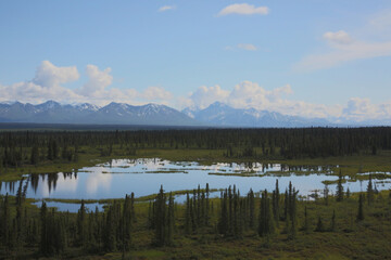 Obraz na płótnie Canvas mountain range with small pond in alaska 