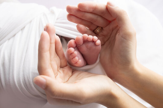 Small feet of a newborn in the hands of a parent. Loving palms of mother's hands. Conceptual image of motherhood. Close-up, selective focus. Professional photography on a white background.