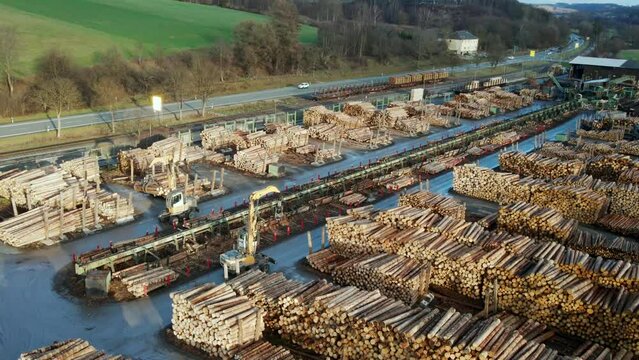 An Aerial View of Log Loader sorting the logs which coming out of the conveyor belt into different stacks  Log Loader sorting the logs which coming out of the conveyor belt