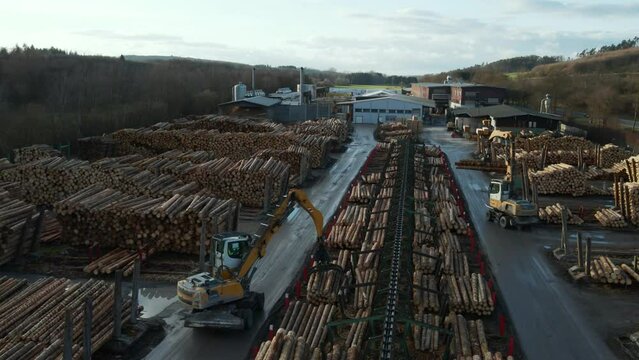 Heavy Machinery at Work: Log Loader are Sorting Logs into different stacks which coming out of the conveyor belt at a German Sawmill